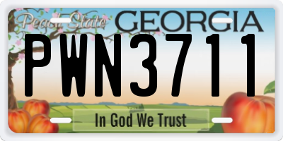 GA license plate PWN3711