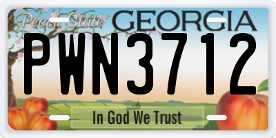 GA license plate PWN3712