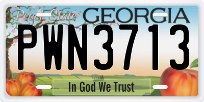 GA license plate PWN3713
