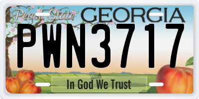 GA license plate PWN3717