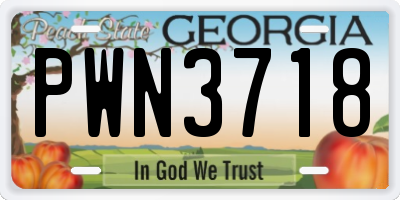 GA license plate PWN3718