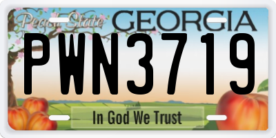 GA license plate PWN3719