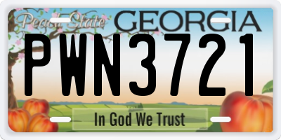 GA license plate PWN3721