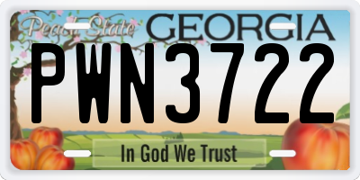 GA license plate PWN3722