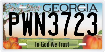 GA license plate PWN3723