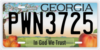 GA license plate PWN3725