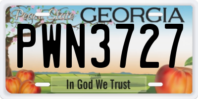 GA license plate PWN3727