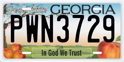 GA license plate PWN3729