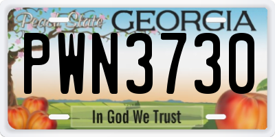 GA license plate PWN3730