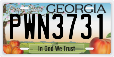 GA license plate PWN3731