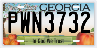 GA license plate PWN3732