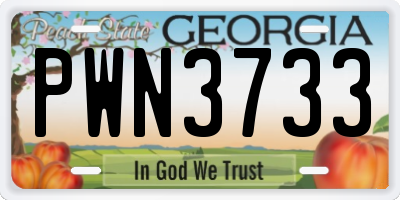 GA license plate PWN3733