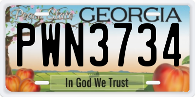GA license plate PWN3734
