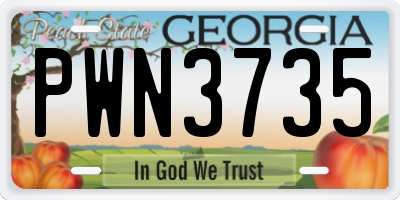 GA license plate PWN3735