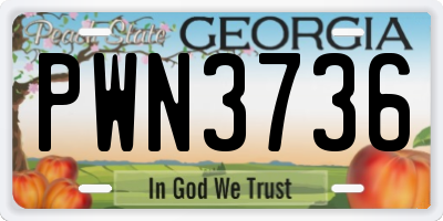 GA license plate PWN3736