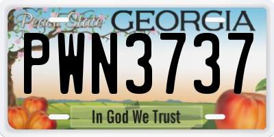 GA license plate PWN3737