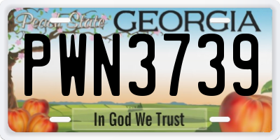 GA license plate PWN3739