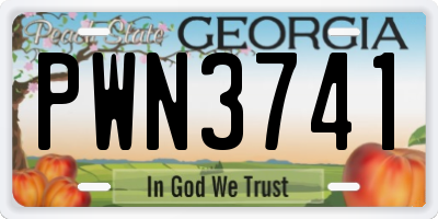 GA license plate PWN3741