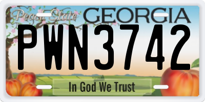 GA license plate PWN3742