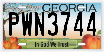GA license plate PWN3744