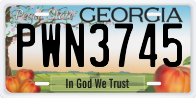 GA license plate PWN3745