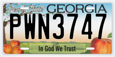 GA license plate PWN3747