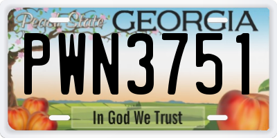 GA license plate PWN3751
