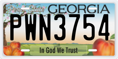 GA license plate PWN3754