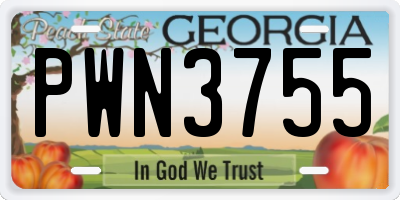 GA license plate PWN3755