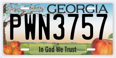 GA license plate PWN3757