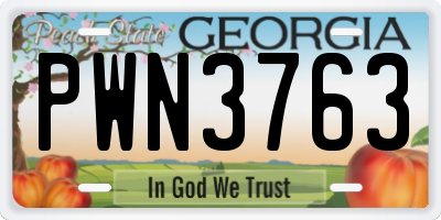 GA license plate PWN3763