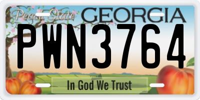 GA license plate PWN3764