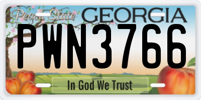 GA license plate PWN3766