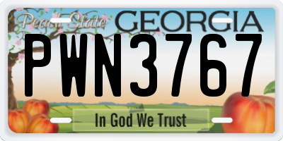 GA license plate PWN3767