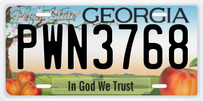 GA license plate PWN3768