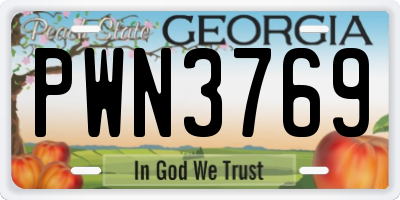 GA license plate PWN3769