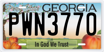 GA license plate PWN3770
