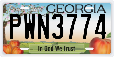 GA license plate PWN3774