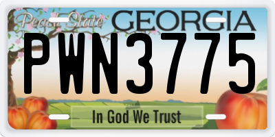 GA license plate PWN3775