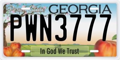 GA license plate PWN3777
