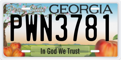 GA license plate PWN3781