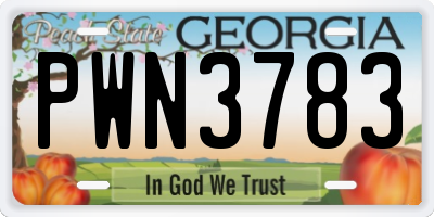 GA license plate PWN3783