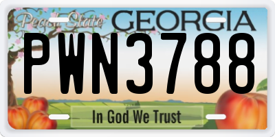 GA license plate PWN3788