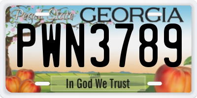 GA license plate PWN3789