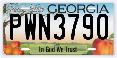 GA license plate PWN3790