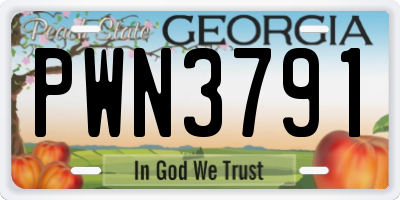 GA license plate PWN3791