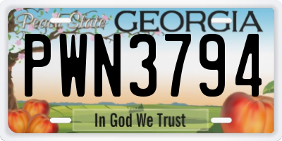 GA license plate PWN3794