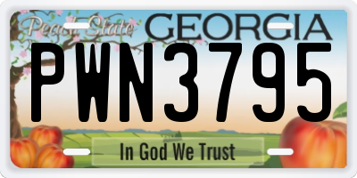 GA license plate PWN3795