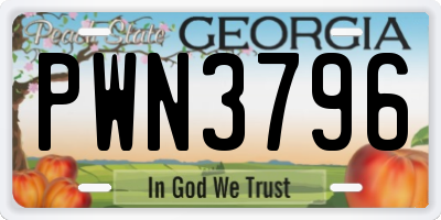 GA license plate PWN3796