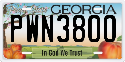 GA license plate PWN3800